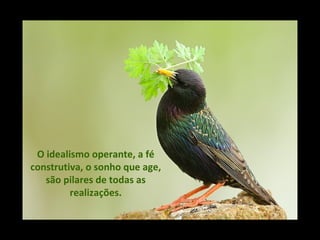 O idealismo operante, a fé construtiva, o sonho que age, são pilares de todas as realizações. 
