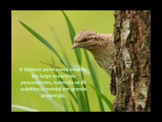 O Homem permanece envolto  em largo oceano de pensamentos, nutrindo-se de substância mental em grande proporção. 