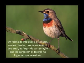 Em forma de impulsos e estímulos, a alma recolhe, nos pensamentos que atrai, as forças de sustentação que lhe garantem as tarefas no lugar em que se coloca. 
