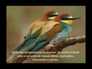 Atraímos companheiros e recursos, de conformidade com a natureza de nossas idéias, aspirações, invocações e apelos. 