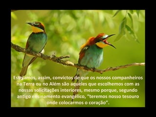 Estejamos, assim, convictos de que os nossos companheiros na Terra ou no Além são aqueles que escolhemos com as nossas solicitações interiores, mesmo porque, segundo antigo ensinamento evangélico, “teremos nosso tesouro onde colocarmos o coração”. 