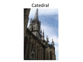 Catedral 