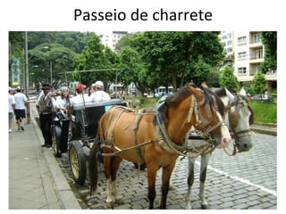 Passeio de charrete 
