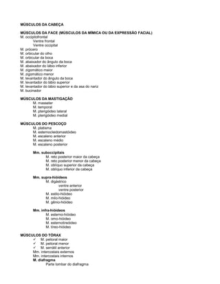 MÚSCULOS DA CABEÇA
MÚSCULOS DA FACE (MÚSCULOS DA MÍMICA OU DA EXPRESSÃO FACIAL)
M. occipitofrontal
Ventre frontal
Ventre occipital
M. prócero
M. orbicular do olho
M. orbicular da boca
M. abaixador do ângulo da boca
M. abaixador do lábio inferior
M. zigomático maior
M. zigomático menor
M. levantador do ângulo da boca
M. levantador do lábio superior
M. levantador do lábio superior e da asa do nariz
M. bucinador
MÚSCULOS DA MASTIGAÇÃO
M. masseter
M. temporal
M. pterigóideo lateral
M. pterigóideo medial
MÚSCULOS DO PESCOÇO
M. platisma
M. esternocleidomastóideo
M. escaleno anterior
M. escaleno médio
M. escaleno posterior
Mm. suboccipitais
M. reto posterior maior da cabeça
M. reto posterior menor da cabeça
M. oblíquo superior da cabeça
M. oblíquo inferior da cabeça
Mm. supra-hióideos
M. digástrico
ventre anterior
ventre posterior
M. estilo-hióideo
M. milo-hióideo
M. gênio-hióideo
Mm. infra-hióideos
M. esterno-hióideo
M. omo-hióideo
M. esternotireóideo
M. tíreo-hióideo
MÚSCULOS DO TÓRAX
 M. peitoral maior
 M. peitoral menor
 M. serrátil anterior
Mm. intercostais externos
Mm. intercostais internos
M. diafragma
Parte lombar do diafragma
 