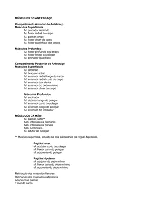 MÚSCULOS DO ANTEBRAÇO
Compartimento Anterior do Antebraço
Músculos Superficiais
M. pronador redondo
M. flexor radial do carpo
M. palmar longo
M. flexor ulnar do carpo
M. flexor superficial dos dedos
Músculos Profundos
M. flexor profundo dos dedos
M. flexor longo do polegar
M. pronador quadrado
Compartimento Posterior do Antebraço
Músculos Superficiais
M. ancôneo
M. braquiorradial
M. extensor radial longo do carpo
M. extensor radial curto do carpo
M. extensor dos dedos
M. extensor do dedo mínimo
M. extensor ulnar do carpo
Músculos Profundos
M. supinador
M. abdutor longo do polegar
M. extensor curto do polegar
M. extensor longo do polegar
M. extensor do indicador
MÚSCULOS DA MÃO
M. palmar curto**
Mm. interósseos palmares
Mm. interósseos dorsais
Mm. lumbricais
M. adutor do polegar
** Músculo superficial, situado na tela subcutânea da região hipotenar.
Região tenar
M. abdutor curto do polegar
M. flexor curto do polegar
M. oponente do polegar
Região hipotenar
M. abdutor do dedo míimo
M. flexor curto do dedo mínimo
M. oponente do dedo mínimo
Retináculo dos músculos flexores
Retináculo dos músculos extensores
Aponeurose palmar
Túnel do carpo
 