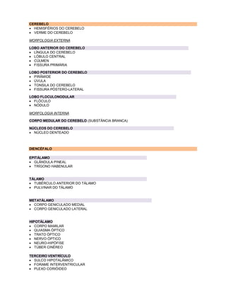 CEREBELO
 HEMISFÉRIOS DO CEREBELO
 VERME DO CEREBELO
MORFOLOGIA EXTERNA
LOBO ANTERIOR DO CEREBELO
 LÍNGULA DO CEREBELO
 LÓBULO CENTRAL
 CÚLMEN
 FISSURA PRIMÁRIA
LOBO POSTERIOR DO CEREBELO
 PIRÂMIDE
 ÚVULA
 TONSILA DO CEREBELO
 FISSURA PÓSTERO-LATERAL
LOBO FLOCULONODULAR
 FLÓCULO
 NÓDULO
MORFOLOGIA INTERNA
CORPO MEDULAR DO CEREBELO (SUBSTÂNCIA BRANCA)
NÚCLEOS DO CEREBELO
 NÚCLEO DENTEADO
DIENCÉFALO
EPITÁLAMO
 GLÂNDULA PINEAL
 TRÍGONO HABENULAR
TÁLAMO
 TUBÉRCULO ANTERIOR DO TÁLAMO
 PULVINAR DO TÁLAMO
METATÁLAMO
 CORPO GENICULADO MEDIAL
 CORPO GENICULADO LATERAL
HIPOTÁLAMO
 CORPO MAMILAR
 QUIASMA ÓPTICO
 TRATO ÓPTICO
 NERVO ÓPTICO
 NEURO-HIPÓFISE
 TÚBER CINÉREO
TERCEIRO VENTRÍCULO
 SULCO HIPOTALÂMICO
 FORAME INTERVENTRICULAR
 PLEXO CORIÓIDEO
 