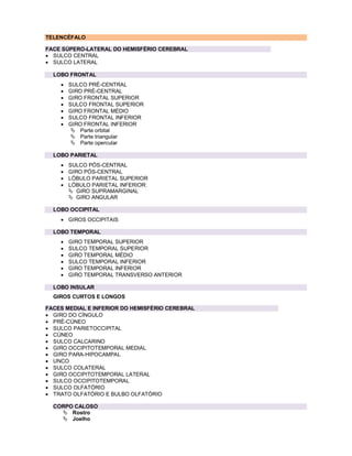 TELENCÉFALO
FACE SÚPERO-LATERAL DO HEMISFÉRIO CEREBRAL
 SULCO CENTRAL
 SULCO LATERAL
LOBO FRONTAL
 SULCO PRÉ-CENTRAL
 GIRO PRÉ-CENTRAL
 GIRO FRONTAL SUPERIOR
 SULCO FRONTAL SUPERIOR
 GIRO FRONTAL MÉDIO
 SULCO FRONTAL INFERIOR
 GIRO FRONTAL INFERIOR
 Parte orbital
 Parte triangular
 Parte opercular
LOBO PARIETAL
 SULCO PÓS-CENTRAL
 GIRO PÓS-CENTRAL
 LÓBULO PARIETAL SUPERIOR
 LÓBULO PARIETAL INFERIOR:
 GIRO SUPRAMARGINAL
 GIRO ANGULAR
LOBO OCCIPITAL
 GIROS OCCIPITAIS
LOBO TEMPORAL
 GIRO TEMPORAL SUPERIOR
 SULCO TEMPORAL SUPERIOR
 GIRO TEMPORAL MÉDIO
 SULCO TEMPORAL INFERIOR
 GIRO TEMPORAL INFERIOR
 GIRO TEMPORAL TRANSVERSO ANTERIOR
LOBO INSULAR
GIROS CURTOS E LONGOS
FACES MEDIAL E INFERIOR DO HEMISFÉRIO CEREBRAL
 GIRO DO CÍNGULO
 PRÉ-CÚNEO
 SULCO PARIETOCCIPITAL
 CÚNEO
 SULCO CALCARINO
 GIRO OCCIPITOTEMPORAL MEDIAL
 GIRO PARA-HIPOCAMPAL
 UNCO
 SULCO COLATERAL
 GIRO OCCIPITOTEMPORAL LATERAL
 SULCO OCCIPITOTEMPORAL
 SULCO OLFATÓRIO
 TRATO OLFATÓRIO E BULBO OLFATÓRIO
CORPO CALOSO
 Rostro
 Joelho
 