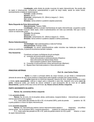 Localização: parte direita da porção muscular do septo interventricular. Na porção alta
do septo é intramuscular, tornando-se subendocárdico a partir do terço médio, sendo às vezes visível,
acompanhando a trabécula septomarginal.
Formato: cordão cilíndrico.
Número: um (1).
Dimensão: comprimento (10 - 20mm) e largura (1 - 3mm).
Cor: amarelo.
Divisões: ramos anterior e posterior (septais possíveis).
Ramo Esquerdo do Feixe Atrioventricular
Descobrimento: Tawara (1906).
Localização: perfura a porção membranácea do septo interventricular, ocupando a parte
esquerda da porção muscular deste septo, onde é subendocárdico em toda sua extensão, fato que o torna
visível na maioria das vezes.
Formato: fita achatada.
Número: um (1).
Dimensão: comprimento (10 - 20mm) e largura (3 - 12mm).
Divisões: ramos anterior e posterior (septais e aórtico possíveis).
Ramos Subendocárdicos
Terminologia: rede subendocárdica e rede de Purkinje.
Descobrimento: Purkinje (1839).
Localização: os ramos subendocárdicos estão incluídos nas trabéculas cárneas de
ambos os ventrículos, é possível encontrá-los também isolados.
Vias Acessórias
Constituem as bases morfológicas da pré excitação.
a) conexões atrioventriculares acessórias:
feixes atriovalvares e ventriculovalvares (Paladino)
feixe atrioventricular lateral direito (Kent)
feixe acessório posterior (Kent; Rosembaum)
b) Conexões nó atrioventricular e feixe atrioventricular (Manhain)
c) Bypass feixe internodal posterior e feixe atrioventricular.
PRINCIPAIS ARTÉRIAS
Prof. Dr. José Carlos Prates
Aorta é a maior e principal artéria do corpo humano, já que direta e indiretamente
(através de ramos de seus ramos diretos) é responsável pela irrigação (nutrição) dos nossos tecidos.
A aorta origina-se no ventrículo esquerdo, assume de início, direção ascendente e para
a direita (aorta ascendente), volta-se a seguir para a esquerda e para trás, traçando uma curva (arco da
aorta). Coloca-se então, por diante da coluna vertebral a qual acompanha até ao nível de L4 (aorta
descendente), quando emite seus ramos terminais: aa. ilíacas comuns direita e esquerda.
PARTE ASCENDENTE DA AORTA
Ramos: Aa. coronárias direita e esquerda
1. A. coronária direita
Ramos: Aa. do cone, do nó sinuatrial, atriais, ventriculares, marginal direita e interventricular posterior
(ramos interventriculares septais).
T. I. - maior parte das paredes do AD e VD, nó sinuatrial (58%), parte da parede posterior do VE
e parte posterior e menor do septo interventricular.
2. A. coronária esquerda
Ramos: Aa. interventricular anterior (ramos interventriculares septais e diagonais), circunflexa
(ramos atriais, do nó sinoatrial (48%), marginal esquerda e posterior do ventrículo esquerdo).
T. I. - maior parte das paredes do AE e VE, parte da parede anterior do VD e parte anterior e maior
do septo interventricular.
 