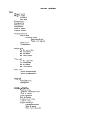 SISTEMA URINÁRIO
RINS
Margem lateral
Margem medial
Hilo renal
Seio renal
Face anterior
Face posterior
Polo superior
Polo inferior
Cápsula fibrosa
Cápsula adiposa
Parênquima renal
Medula renal
Pirâmides renais
Base da pirâmide
Papila renal (ápice)
Córtex renal
Colunas renais
Artéria renal
Aa. dos segmentos
Aa. interlobares
Aa. arqueadas
Aa. interlobulares
Veia renal
Vv. dos segmentos
Vv. interlobares
Vv. arqueadas
Vv. interlobulares
Pelve renal
Cálices renais maiores
Cálices renais menores
URETER
Parte abdominal
Parte pélvica
BEXIGA URINÁRIA
Ápice da bexiga
Ligamento umbilical mediano
Corpo da bexiga
Fundo da bexiga
Colo da Bexiga
M. detrusor da bexiga
Úvula da bexiga
Trígono da bexiga
Prega interuretérica
Óstio do ureter
Óstio interno da uretra
 