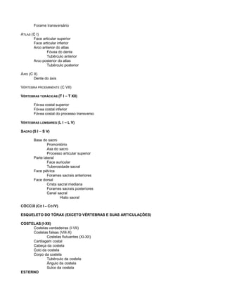 Forame transversário
ATLAS (C I)
Face articular superior
Face articular inferior
Arco anterior do atlas
Fóvea do dente
Tubérculo anterior
Arco posterior do atlas
Tubérculo posterior
ÁXIS (C II)
Dente do áxis
VÉRTEBRA PROEMINENTE (C VII)
VÉRTEBRAS TORÁCICAS (T I – T XII)
Fóvea costal superior
Fóvea costal inferior
Fóvea costal do processo transverso
VÉRTEBRAS LOMBARES (L I – L V)
SACRO (S I – S V)
Base do sacro
Promontório
Asa do sacro
Processo articular superior
Parte lateral
Face auricular
Tuberosidade sacral
Face pélvica
Forames sacrais anteriores
Face dorsal
Crista sacral mediana
Forames sacrais posteriores
Canal sacral
Hiato sacral
CÓCCIX (CO I – CO IV)
ESQUELETO DO TÓRAX (EXCETO VÉRTEBRAS E SUAS ARTICULAÇÕES)
COSTELAS (I-XII)
Costelas verdadeiras (I-VII)
Costelas falsas (VIII-X)
Costelas flutuantes (XI-XII)
Cartilagem costal
Cabeça da costela
Colo da costela
Corpo da costela
Tubérculo da costela
Ângulo da costela
Sulco da costela
ESTERNO
 