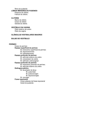 Rima do pudendo
LÁBIOS MENORES DO PUDENDO
Prepúcio do clitóris
Frênulo do clitóris
CLITÓRIS
Ramo do clitóris
Corpo do clitóris
Glande do clitóris
VESTÍBULO DA VAGINA
Óstio externo da uretra
Óstio da vagina
GLÂNDULAS VESTIBULARES MAIORES
BULBO DO VESTÍBULO
PERÍNEO
Corpo do períneo
Espaço superficial do períneo
M. transverso superficial do períneo
M. isquiocavernoso
M. bulboesponjoso
Espaço profundo do períneo
M. esfíncter externo da uretra
M. compressor da uretra
M. esfíncter uretrovaginal
Espaço profundo do períneo
M. transverso profundo do períneo
M. esfíncter externo da uretra
Diafragma pélvico
M. levantador do ânus
M. puborretal
M. pubococcígeo
M. isquiococcígeo
M. coccígeo
Fossa isquioanal
Corpo adiposo da fossa isquioanal
Canal do pudendo
 