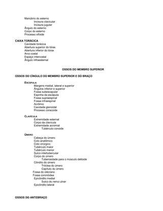 Manúbrio do esterno
Incisura clavicular
Incisura jugular
Ângulo do esterno
Corpo do esterno
Processo xifoide
CAIXA TORÁCICA
Cavidade torácica
Abertura superior do tórax
Abertura inferior do tórax
Arco costal
Espaço intercostal
Ângulo infraesternal
OSSOS DO MEMBRO SUPERIOR
OSSOS DO CÍNGULO DO MEMBRO SUPERIOR E DO BRAÇO
ESCÁPULA
Margens medial, lateral e superior
Ângulos inferior e superior
Fossa subescapular
Espinha da escápula
Fossa supraespinal
Fossa infraespinal
Acrômio
Cavidade glenoidal
Processo coracoide
CLAVÍCULA
Extremidade esternal
Corpo da clavícula
Extremidade acromial
Tubérculo conoide
ÚMERO
Cabeça do úmero
Colo anatômico
Colo cirúrgico
Tubérculo maior
Tubérculo menor
Sulco intertubercular
Corpo do úmero
Tuberosidade para o músculo deltoide
Côndilo do úmero
Tróclea do úmero
Capítulo do úmero
Fossa do olécrano
Fossa coronóidea
Epicôndilo medial
Sulco do nervo ulnar
Epicôndilo lateral
OSSOS DO ANTEBRAÇO
 