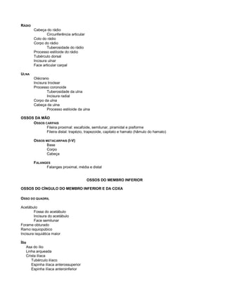RÁDIO
Cabeça do rádio
Circunferência articular
Colo do rádio
Corpo do rádio
Tuberosidade do rádio
Processo estiloide do rádio
Tubérculo dorsal
Incisura ulnar
Face articular carpal
ULNA
Olécrano
Incisura troclear
Processo coronoide
Tuberosidade da ulna
Incisura radial
Corpo da ulna
Cabeça da ulna
Processo estiloide da ulna
OSSOS DA MÃO
OSSOS CARPAIS
Fileira proximal: escafoide, semilunar, piramidal e pisiforme
Fileira distal: trapézio, trapezoide, capitato e hamato (hâmulo do hamato)
OSSOS METACARPAIS (I-V)
Base
Corpo
Cabeça
FALANGES
Falanges proximal, média e distal
OSSOS DO MEMBRO INFERIOR
OSSOS DO CÍNGULO DO MEMBRO INFERIOR E DA COXA
OSSO DO QUADRIL
Acetábulo
Fossa do acetábulo
Incisura do acetábulo
Face semilunar
Forame obturado
Ramo isquiopúbico
Incisura isquiática maior
Ílio
Asa do ílio
Linha arqueada
Crista ilíaca
Tubérculo ilíaco
Espinha ilíaca anterossuperior
Espinha ilíaca anteroinferior
 