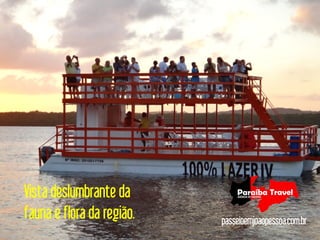 Vista deslumbrante da
fauna e flora da região.   passeioemjoaopessoa.com.br
 