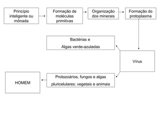 Princípio
inteligente ou
mônada
Formação de
moléculas
primitivas
Organização
dos minerais
Formação do
protoplasma
Bactérias e
Algas verde-azuladas
Protozoários, fungos e algas
pluricelulares; vegetais e animaisHOMEM
Vírus
 
