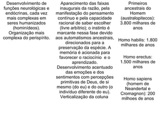 Desenvolvimento de
funções neurológicas e
endócrinas, cada vez
mais complexas em
seres humanizados
(hominídeos).
Organização mais
complexa do perispírito.
Aparecimento das faixas
inaugurais da razão, pela
manifestação do pensamento
contínuo e pela capacidade
racional de saber escolher
(livre arbítrio); o instinto é
marcante nessa fase devido
aos automatismos ancestrais,
direcionados para a
preservação da espécie. A
memória é acionada para
favorecer o raciocínio e o
aprendizado.
Desenvolvimento acentuado
das emoções e dos
sentimentos com percepções
primitivas de Deus, de si
mesmo (do eu) e do outro (o
indivíduo diferente do eu).
Verticalização da coluna
Primeiros
ancestrais do
Homem
(australopitecos):
3.800 milhares de
anos
Homo habilis: 1.800
milhares de anos
Homo erectus:
1.500 milhares de
anos
Homo sapiens
(homem de
Neandertal e
Cromagnon): 200
milhoes de anos
 