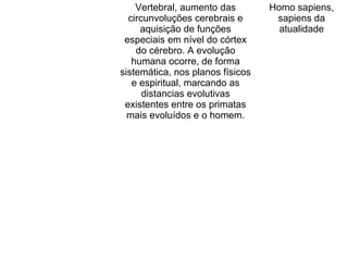 Vertebral, aumento das
circunvoluções cerebrais e
aquisição de funções
especiais em nível do córtex
do cérebro. A evolução
humana ocorre, de forma
sistemática, nos planos físicos
e espiritual, marcando as
distancias evolutivas
existentes entre os primatas
mais evoluídos e o homem.
Homo sapiens,
sapiens da
atualidade
 