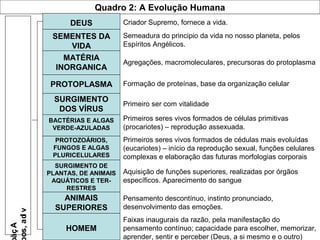 Quadro 2: A Evolução Humana
DEUS
SEMENTES DA
VIDA
MATÉRIA
INORGANICA
PROTOPLASMA
SURGIMENTO
DOS VÍRUS
BACTÉRIAS E ALGAS
VERDE-AZULADAS
PROTOZOÁRIOS,
FUNGOS E ALGAS
PLURICELULARES
SURGIMENTO DE
PLANTAS, DE ANIMAIS
AQUÁTICOS E TER-
RESTRES
ANIMAIS
SUPERIORES
HOMEM
Criador Supremo, fornece a vida.
Semeadura do principio da vida no nosso planeta, pelos
Espíritos Angélicos.
Agregações, macromoleculares, precursoras do protoplasma
Formação de proteínas, base da organização celular
Primeiro ser com vitalidade
Primeiros seres vivos formados de células primitivas
(procariotes) – reprodução assexuada.
Primeiros seres vivos formados de cédulas mais evoluídas
(eucariotes) – início da reprodução sexual, funções celulares
complexas e elaboração das futuras morfologias corporais
Aquisição de funções superiores, realizadas por órgãos
específicos. Aparecimento do sangue
Pensamento descontínuo, instinto pronunciado,
desenvolvimento das emoções.
Faixas inaugurais da razão, pela manifestação do
pensamento contínuo; capacidade para escolher, memorizar,
aprender, sentir e perceber (Deus, a si mesmo e o outro)
Açã
vida,so
 