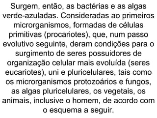 Surgem, então, as bactérias e as algas
verde-azuladas. Consideradas ao primeiros
microrganismos, formadas de células
primitivas (procariotes), que, num passo
evolutivo seguinte, deram condições para o
surgimento de seres possuidores de
organização celular mais evoluída (seres
eucariotes), uni e pluricelulares, tais como
os microrganismos protozoários e fungos,
as algas pluricelulares, os vegetais, os
animais, inclusive o homem, de acordo com
o esquema a seguir.
 