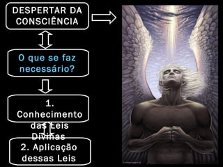 DESPERTAR DA
CONSCIÊNCIA
1.
Conhecimento
das Leis
Divinas
2. Aplicação2. Aplicação
dessas Leisdessas Leis
O que se faz
necessário?
 