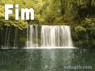 Roteiro 2   mediunidade e médium