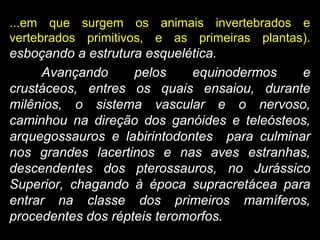 ...em que surgem os animais invertebrados e
vertebrados primitivos, e as primeiras plantas).
esboçando a estrutura esquelética.
Avançando pelos equinodermos e
crustáceos, entres os quais ensaiou, durante
milênios, o sistema vascular e o nervoso,
caminhou na direção dos ganóides e teleósteos,
arquegossauros e labirintodontes para culminar
nos grandes lacertinos e nas aves estranhas,
descendentes dos pterossauros, no Jurássico
Superior, chagando à época supracretácea para
entrar na classe dos primeiros mamíferos,
procedentes dos répteis teromorfos.
 