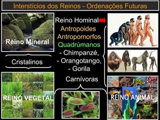 Cristalinos
Interstícios dos Reinos - Ordenações Futuras
Carnívoras
REINO VEGETAL
Antropoides
Antropomorfos
Quadrúmanos
- Chimpanzé,
- Orangotango,
- Gorila
Reino Hominal
Reino Mineral
 
