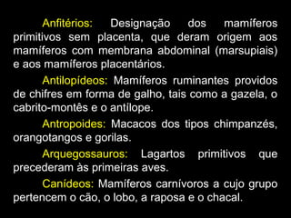 Anfitérios: Designação dos mamíferos
primitivos sem placenta, que deram origem aos
mamíferos com membrana abdominal (marsupiais)
e aos mamíferos placentários.
Antilopídeos: Mamíferos ruminantes providos
de chifres em forma de galho, tais como a gazela, o
cabrito-montês e o antílope.
Antropoides: Macacos dos tipos chimpanzés,
orangotangos e gorilas.
Arquegossauros: Lagartos primitivos que
precederam às primeiras aves.
Canídeos: Mamíferos carnívoros a cujo grupo
pertencem o cão, o lobo, a raposa e o chacal.
 
