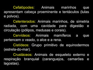 Cefalópodes: Animais marinhos que
apresentam cabeça proeminente e tentáculos (lulas
e polvos).
Celenterados: Animais marinhos, de simetria
radiada, com uma cavidade para digestão e
circulação (pólipos, medusas e corais).
Cervídeos: Animais mamíferos a que
pertencem o veado, o alce e a rena.
Cistídeos: Grupo primitivo de equinodermos
(estrela-do-mar).
Crustáceos: Animais de esqueleto externo e
respiração branquial (caranguejos, camarões e
lagostas).
 
