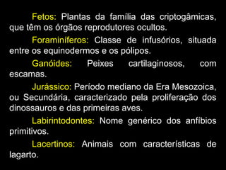 Fetos: Plantas da família das criptogâmicas,
que têm os órgãos reprodutores ocultos.
Foraminíferos: Classe de infusórios, situada
entre os equinodermos e os pólipos.
Ganóides: Peixes cartilaginosos, com
escamas.
Jurássico: Período mediano da Era Mesozoica,
ou Secundária, caracterizado pela proliferação dos
dinossauros e das primeiras aves.
Labirintodontes: Nome genérico dos anfíbios
primitivos.
Lacertinos: Animais com características de
lagarto.
 