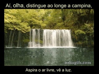 Aí, olha, distingue ao longe a campina,
Aspira o ar livre, vê a luz.
 