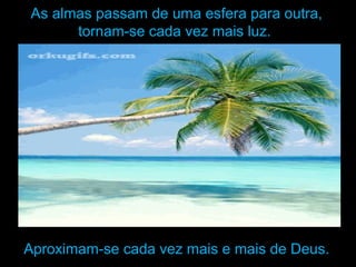 As almas passam de uma esfera para outra,
tornam-se cada vez mais luz.
Aproximam-se cada vez mais e mais de Deus.
 