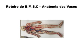 Roteiro de B.M.S.C – Anatomia dos Vasos
 