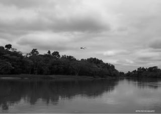 RPPN FOZ DO AGUAPEÍ
 