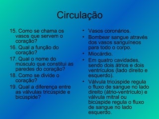Circulação 15. Como se chama os vasos que servem o coração? 16. Qual a função do coração? 17. Qual o nome do músculo que constitui as paredes do coração? 18. Como se divide o coração? 19. Qual a diferença entre as válvulas tricúspide e bicúspide? Vasos coronários. Bombear sangue através dos vasos sanguíneos para todo o corpo. Miocárdio. Em quatro cavidades, sendo dois átrios e dois ventrículos (lado direito e esquerdo). Válvula tricúspide regula o fluxo de sangue no lado direito (átrio-ventrículo) e válvula mitral ou bicúspide regula o fluxo de sangue no lado esquerdo. 
