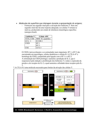 • Moléculas de superfície que interagem durante a apresentação do anígeno;
- Fornecem um segundo sinal para a ativação dos linfócitos T. Sem este
segundo sinal não há uma resposta adequada e as células T tornam-se
inativas, produzindo um estado de tolerância imunológica específica
(anergia clonal).
Linfócito T Célula APC
TCR e CD4 MHC II e peptídeo
LFA –1 ICAM-1
CD28 B7.1
B7.2
CD2 LFA-3
O CD28 é provavelmente o co-estimulador mais importante. B7.1 e B7.2 são
encontradas em macrófagos, células dendríticas e células B. A CTLA-4* é
homóloga da CD28, competindo pela ligação com a B7.1 e a B7.2.
A estimulação da CD28 prolonga e aumenta a produção de IL-2, que é
responsável pela indução e proliferação dos linfócitos T e reduz a expressão da
porção α do receptor de IL-2, a qual aumenta a afinidade deste receptor pela IL-
2.
* A CTLA-4 é uma molécula necessária para limitar da ativação das células T.
 
