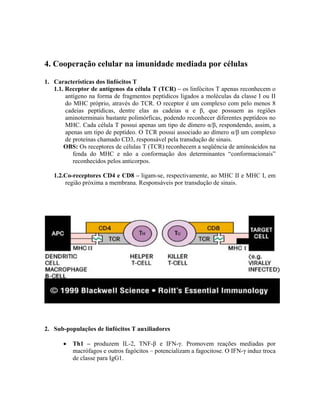 4. Cooperação celular na imunidade mediada por células
1. Características dos linfócitos T
1.1. Receptor de antígenos da célula T (TCR) – os linfócitos T apenas reconhecem o
antígeno na forma de fragmentos peptídicos ligados a moléculas da classe I ou II
do MHC próprio, através do TCR. O receptor é um complexo com pelo menos 8
cadeias peptídicas, dentre elas as cadeias α e β, que possuem as regiões
aminoterminais bastante polimórficas, podendo reconhecer diferentes peptídeos no
MHC. Cada célula T possui apenas um tipo de dímero α/β, respondendo, assim, a
apenas um tipo de peptídeo. O TCR possui associado ao dímero α/β um complexo
de proteínas chamado CD3, responsável pela transdução de sinais.
OBS: Os receptores de células T (TCR) reconhecem a seqüência de aminoácidos na
fenda do MHC e não a conformação dos determinantes “conformacionais”
reconhecidos pelos anticorpos.
1.2.Co-receptores CD4 e CD8 – ligam-se, respectivamente, ao MHC II e MHC I, em
região próxima a membrana. Responsáveis por transdução de sinais.
2. Sub-populações de linfócitos T auxiliadores
• Th1 – produzem IL-2, TNF-β e IFN-γ. Promovem reações mediadas por
macrófagos e outros fagócitos – potencializam a fagocitose. O IFN-γ induz troca
de classe para IgG1.
 