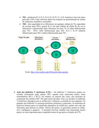 • Th2 – produzem IL-4, IL-5, IL-6, IL-10, IL-13. A IL-4 promove troca de classe
para IgE e IG4. Estas citocinas atuam em conjunto na quimioatração de células
B, mastócitos, basófilos e eosinófilos.
• Th0 – têm capacidade de se diferenciar em qualquer subtipo de Th, capacidade
de secretar tanto IFN-γ quanto IL-4. Em qual subtipo de célula Th ela vai se
diferenciar é determinada pelas linfocinas do meio. IL-12 induz diferenciação
para Th1. IFN-γ inibe diferenciação para Th2. IL-4 e IL-10 induzem
diferenciação para Th2 e inibem diferenciação para Th1.
Fonte: http://www.med.sc.edu:85/bowers/imm-reg.htm
3. Ação dos linfócitos T citotóxicos (CTL) – Os linfócitos T citotóxicos podem ser
ativados diretamente pelas células APC, quando estas expressam muitos sinais
estimulatórios (B7.1 e B7.2). No entanto, na maioria das vezes, eles precisam de
cooperação das células CD4+ Th1 para serem ativados. Uma vez ativados os linfócitos
T citotóxicos interagem com as células-alvo e liberam o conteúdo de seus grânulos. Os
grânulos dos linfócitos Tc possuem perforina (citolisina) e granzimas. As moléculas de
perforina formam poros na membrana plasmática da célula-alvo, porém estes não são
suficientes para destruir as células. Através dos poros, as granzimas entram na célula-
alvo e deflagram a apoptose. A interação Fas-FasL também está relacionada, porém
parece ser mais importante para a regulação imune do que para as funções do CTL.
 