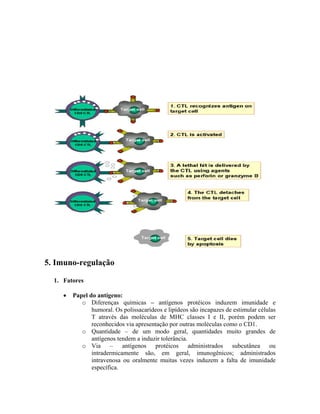 5. Imuno-regulação
1. Fatores
• Papel do antígeno:
o Diferenças químicas – antígenos protéicos induzem imunidade e
humoral. Os polissacarídeos e lipídeos são incapazes de estimular células
T através das moléculas de MHC classes I e II, porém podem ser
reconhecidos via apresentação por outras moléculas como o CD1.
o Quantidade – de um modo geral, quantidades muito grandes de
antígenos tendem a induzir tolerância.
o Via – antígenos protéicos administrados subcutânea ou
intradermicamente são, em geral, imunogênicos; administrados
intravenosa ou oralmente muitas vezes induzem a falta de imunidade
específica.
 