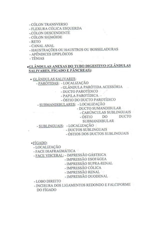 Roteiro De Anatomia Humana  Ufmg