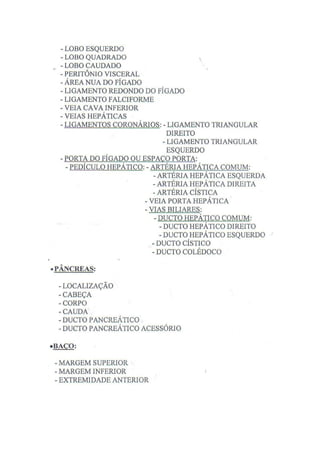 Roteiro De Anatomia Humana  Ufmg