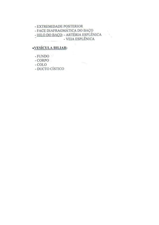 Roteiro De Anatomia Humana  Ufmg