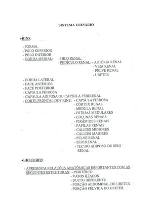 Roteiro De Anatomia Humana  Ufmg