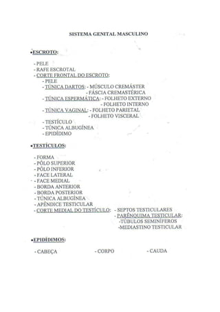 Roteiro De Anatomia Humana  Ufmg