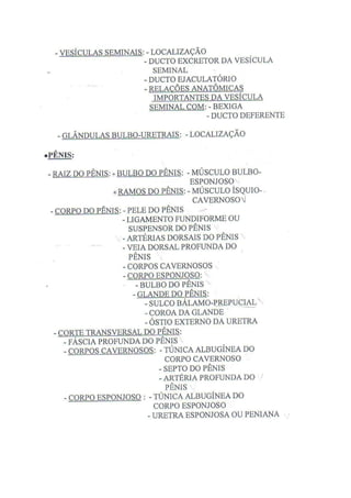 Roteiro De Anatomia Humana  Ufmg
