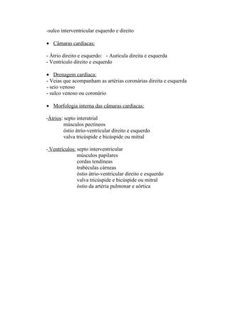-sulco interventricular esquerdo e direito

• Câmaras cardíacas:

- Átrio direito e esquerdo: - Aurícula direita e esquerda
- Ventrículo direito e esquerdo

• Drenagem cardíaca:
- Veias que acompanham as artérias coronárias direita e esquerda
- seio venoso
- sulco venoso ou coronário

• Morfologia interna das câmaras cardíacas:

-Átrios: septo interatrial
         músculos pectíneos
         óstio átrio-ventricular direito e esquerdo
         valva tricúspide e bicúspide ou mitral

- Ventrículos: septo interventricular
               músculos papilares
               cordas tendíneas
               trabéculas cárneas
               óstio átrio-ventricular direito e esquerdo
               valva tricúspide e bicúspide ou mitral
               óstio da artéria pulmonar e aórtica
 