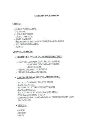 Roteiro De Anatomia Humana  Ufmg