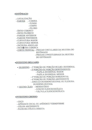 Roteiro De Anatomia Humana  Ufmg