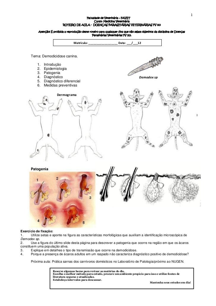 Roteiro de aula no 03 demodicidose