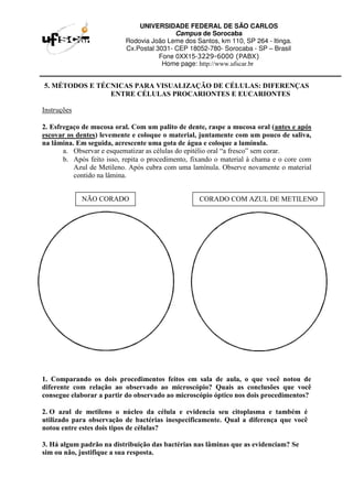 UNIVERSIDADE FEDERAL DE SÃO CARLOS
Campus de Sorocaba
Rodovia João Leme dos Santos, km 110, SP 264 - Itinga.
Cx.Postal 3031- CEP 18052-780- Sorocaba - SP – Brasil
Fone 0XX15-3229-6000 (PABX)
Home page: http://www.ufscar.br
5. MÉTODOS E TÉCNICAS PARA VISUALIZAÇÃO DE CÉLULAS: DIFERENÇAS
ENTRE CÉLULAS PROCARIONTES E EUCARIONTES
Instruções
2. Esfregaço de mucosa oral. Com um palito de dente, raspe a mucosa oral (antes e após
escovar os dentes) levemente e coloque o material, juntamente com um pouco de saliva,
na lâmina. Em seguida, acrescente uma gota de água e coloque a lamínula.
a. Observar e esquematizar as células do epitélio oral “a fresco” sem corar.
b. Após feito isso, repita o procedimento, fixando o material à chama e o core com
Azul de Metileno. Após cubra com uma lamínula. Observe novamente o material
contido na lâmina.
1. Comparando os dois procedimentos feitos em sala de aula, o que você notou de
diferente com relação ao observado ao microscópio? Quais as conclusões que você
consegue elaborar a partir do observado ao microscópio óptico nos dois procedimentos?
2. O azul de metileno o núcleo da célula e evidencia seu citoplasma e também é
utilizado para observação de bactérias inespecíficamente. Qual a diferença que você
notou entre estes dois tipos de células?
3. Há algum padrão na distribuição das bactérias nas lâminas que as evidenciam? Se
sim ou não, justifique a sua resposta.
NÃO CORADO CORADO COM AZUL DE METILENO
 